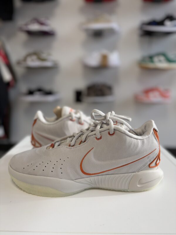 Nike LeBron 21